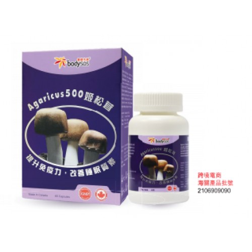 巴西姬松茸